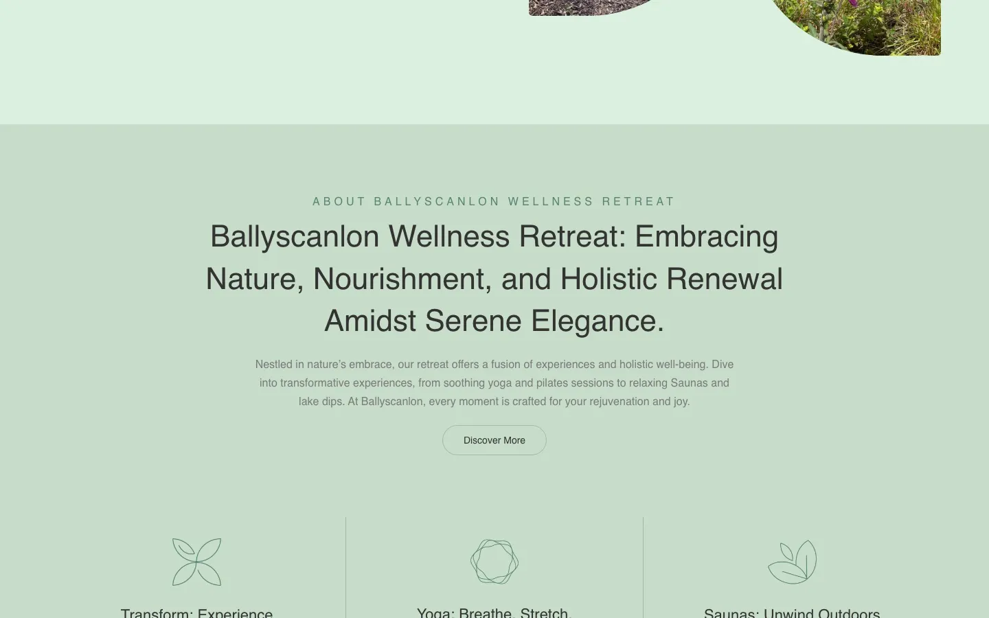 Ballyscanlonlake.com screenshot 3